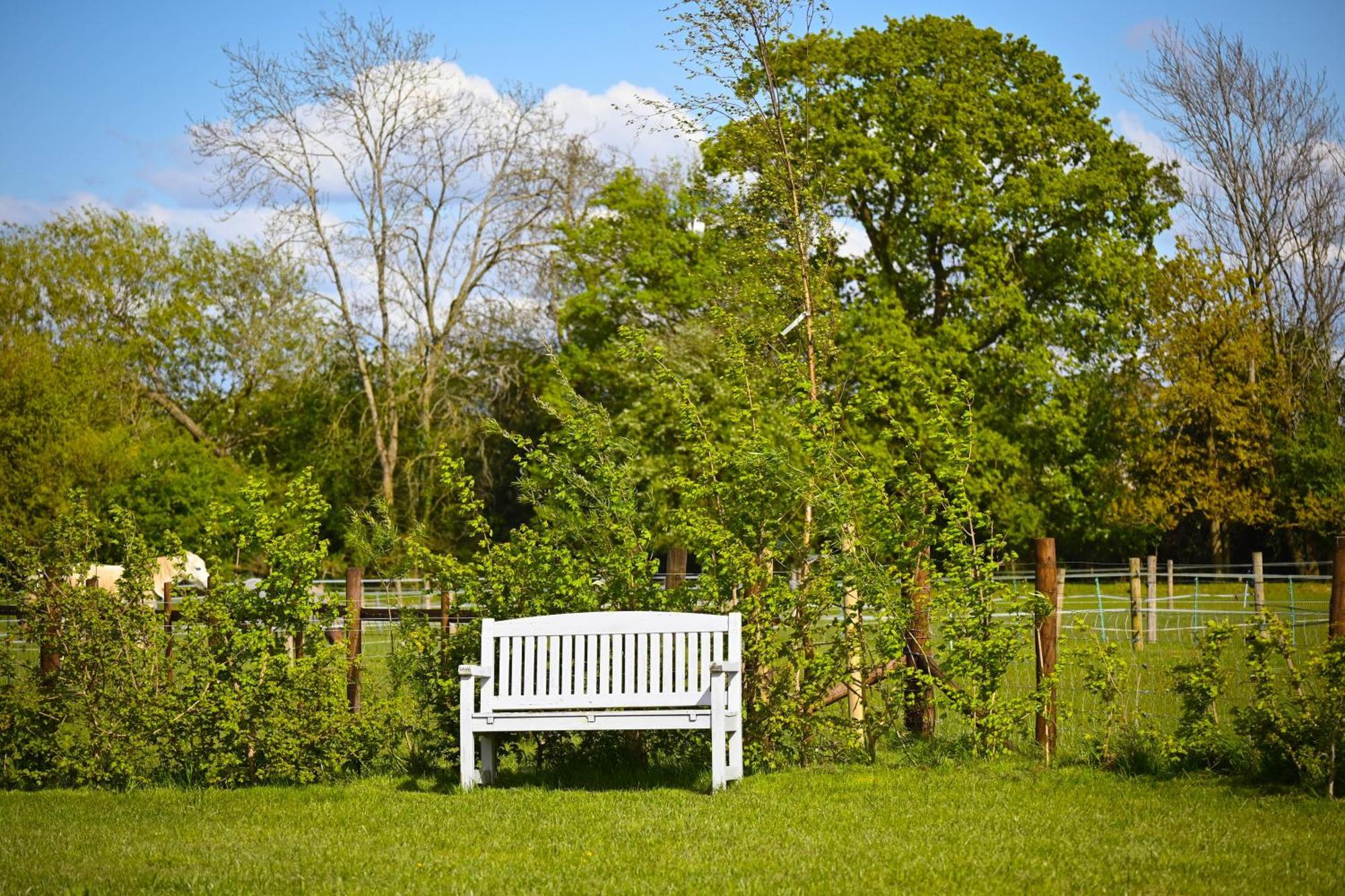 Bluebell Cabin Badsey Eksteriør bilde